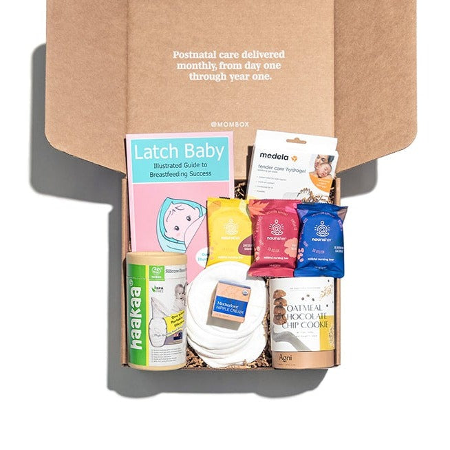 Swehl The Latch Kit: Breastfeeding Essentials